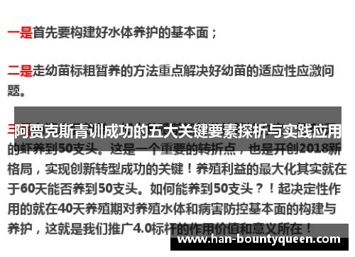 阿贾克斯青训成功的五大关键要素探析与实践应用
